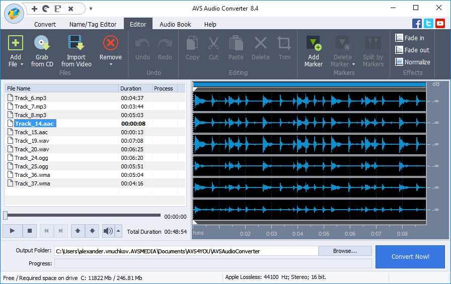 AVS Audio Converter. Click to see the full-size image.