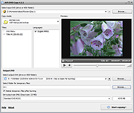 AVS DVD Copy. Click to see the full-size image.